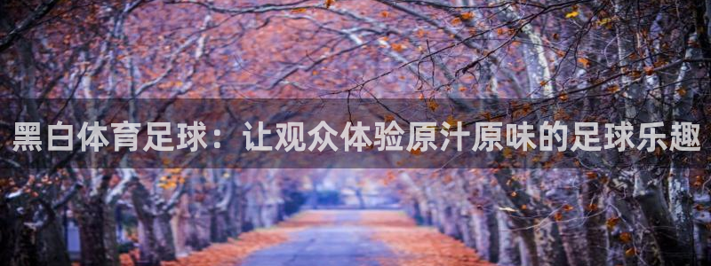 黑白体育足球：让观众体验原汁原味的足球乐趣