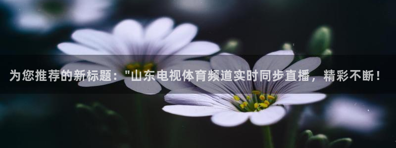 为您推荐的新标题：\
