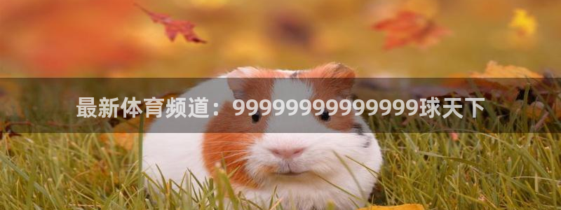 最新体育频道：99999999999999球天下