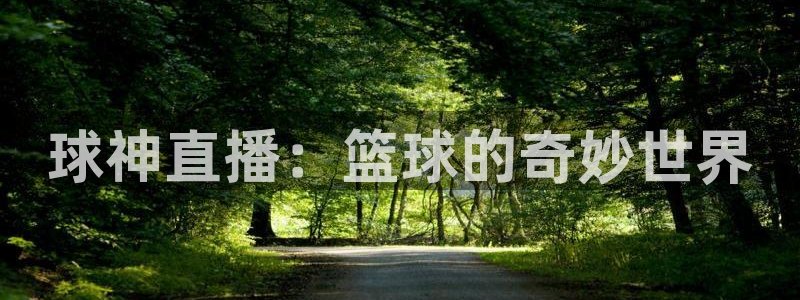 球神直播：篮球的奇妙世界