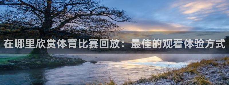 在哪里欣赏体育比赛回放：最佳的观看体验方式