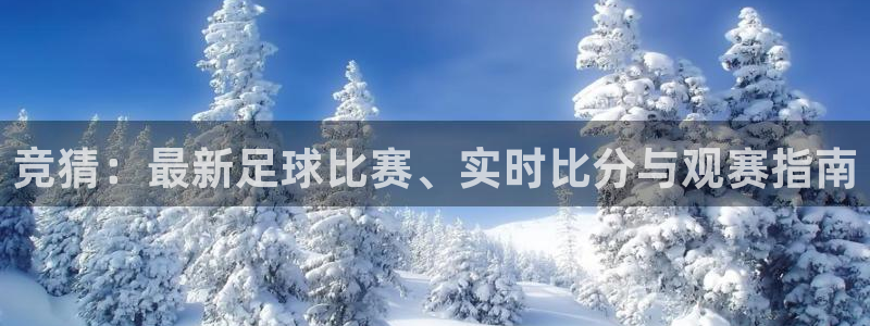 竞猜：最新足球比赛、实时比分与观赛指南