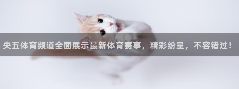 央五体育频道全面展示最新体育赛事，精彩纷呈，不容错过！