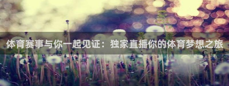 体育赛事与你一起见证：独家直播你的体育梦想之旅