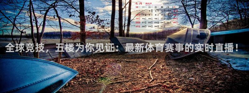 全球竞技，五楼为你见证：最新体育赛事的实时直播！