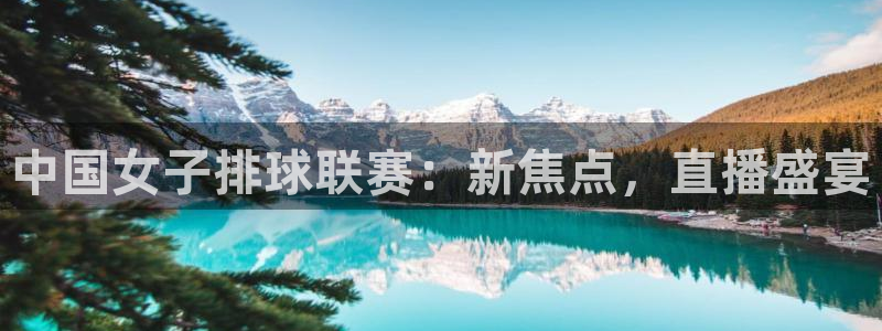 中国女子排球联赛：新焦点，直播盛宴