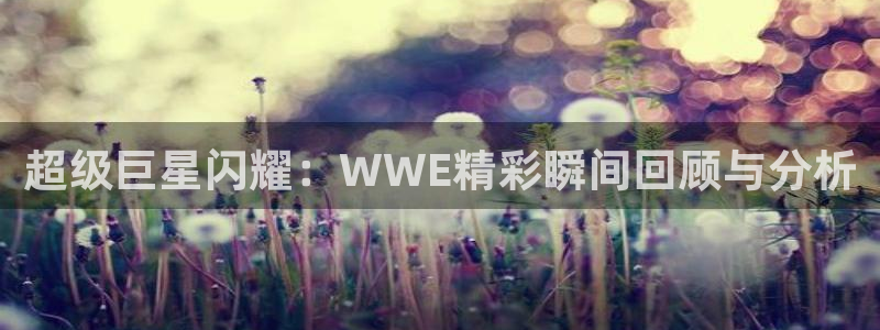 超级巨星闪耀：WWE精彩瞬间回顾与分析