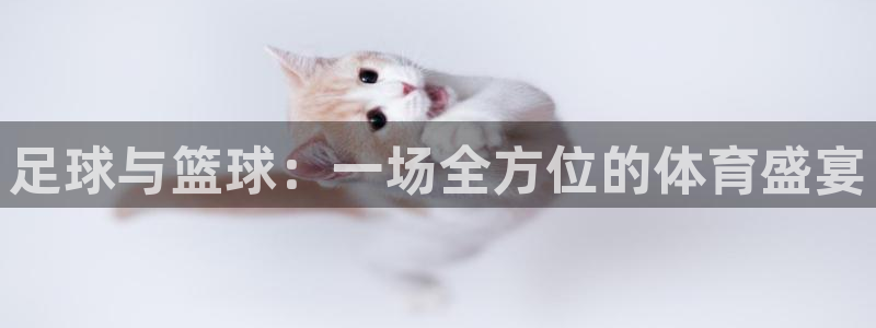 足球与篮球：一场全方位的体育盛宴