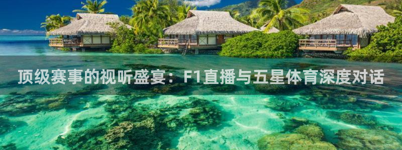 顶级赛事的视听盛宴：F1直播与五星体育深度对话