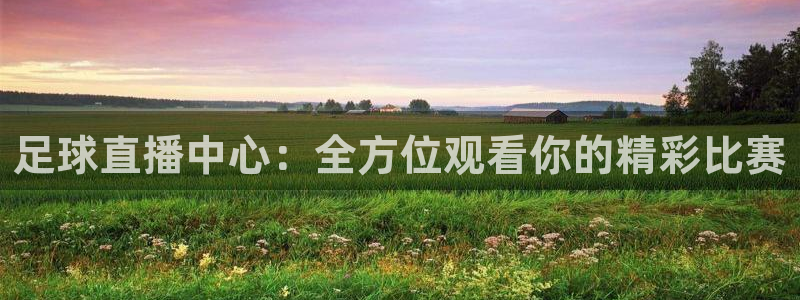 足球直播中心：全方位观看你的精彩比赛