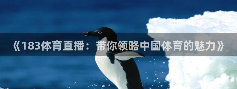 《183体育直播：带你领略中国体育的魅力》
