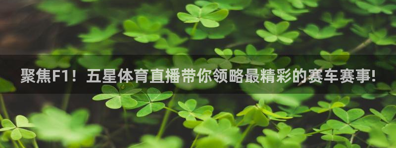 聚焦F1！五星体育直播带你领略最精彩的赛车赛事!