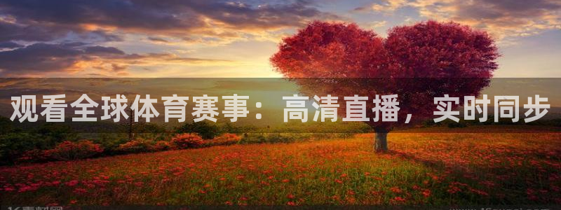 观看全球体育赛事：高清直播，实时同步