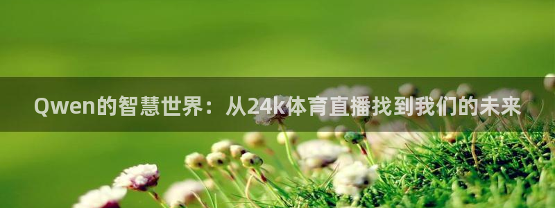 Qwen的智慧世界：从24k体育直播找到我们的未来