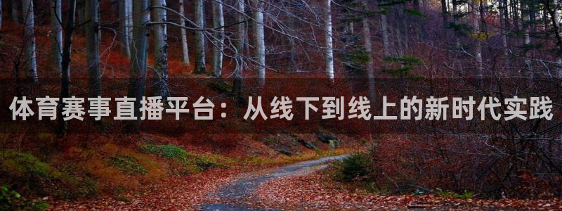体育赛事直播平台：从线下到线上的新时代实践