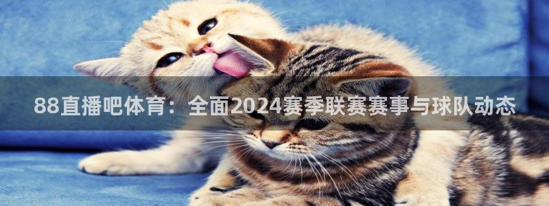 88直播吧体育：全面2024赛季联赛赛事与球队动态