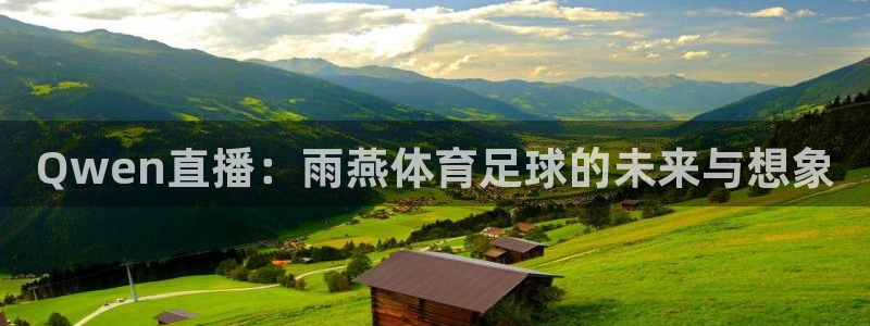 Qwen直播：雨燕体育足球的未来与想象
