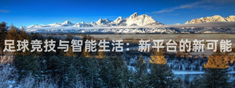 足球竞技与智能生活：新平台的新可能