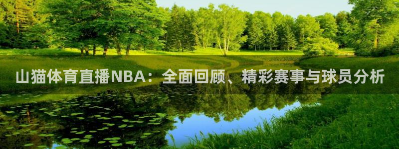 山猫体育直播NBA：全面回顾、精彩赛事与球员分析