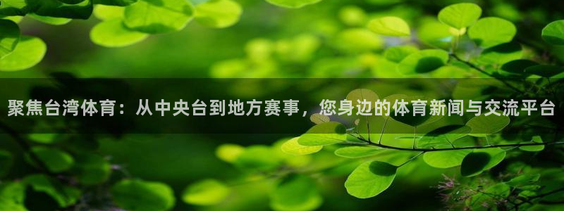 聚焦台湾体育：从中央台到地方赛事，您身边的体育新闻与交流平台