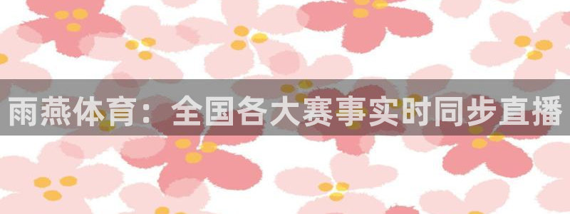 雨燕体育：全国各大赛事实时同步直播