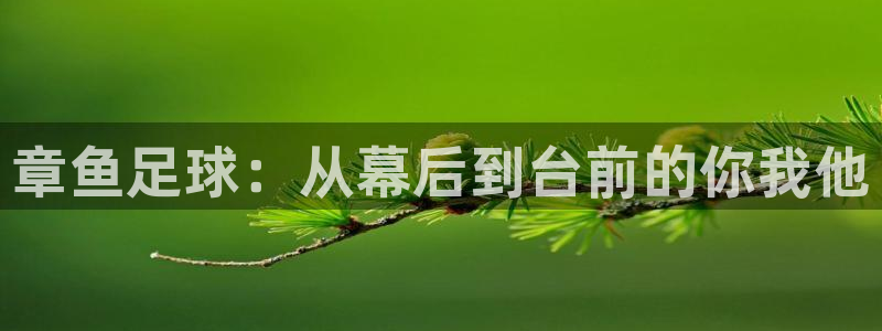 章鱼足球：从幕后到台前的你我他