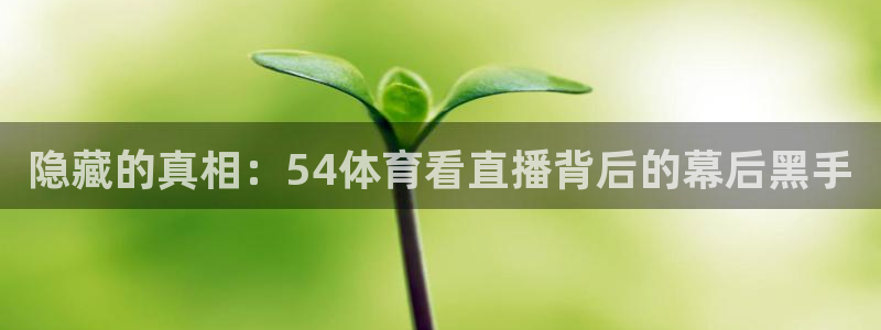 隐藏的真相：54体育看直播背后的幕后黑手