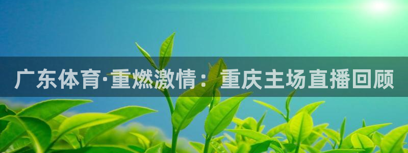 广东体育·重燃激情：重庆主场直播回顾