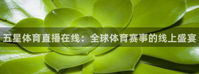 五星体育直播在线：全球体育赛事的线上盛宴