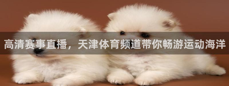高清赛事直播，天津体育频道带你畅游运动海洋