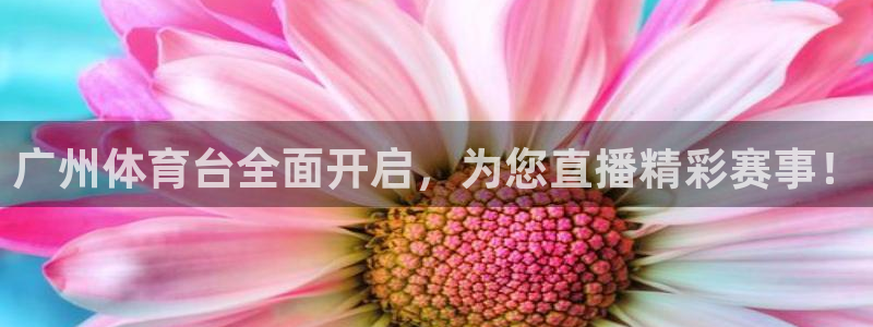 广州体育台全面开启，为您直播精彩赛事！