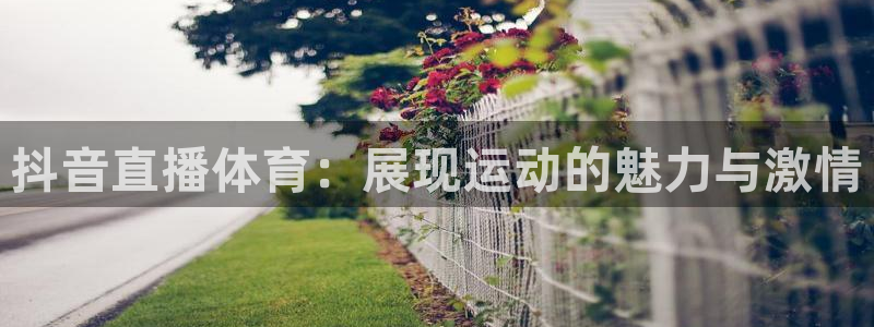 抖音直播体育：展现运动的魅力与激情