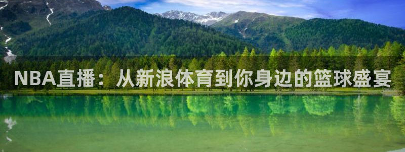 NBA直播：从新浪体育到你身边的篮球盛宴