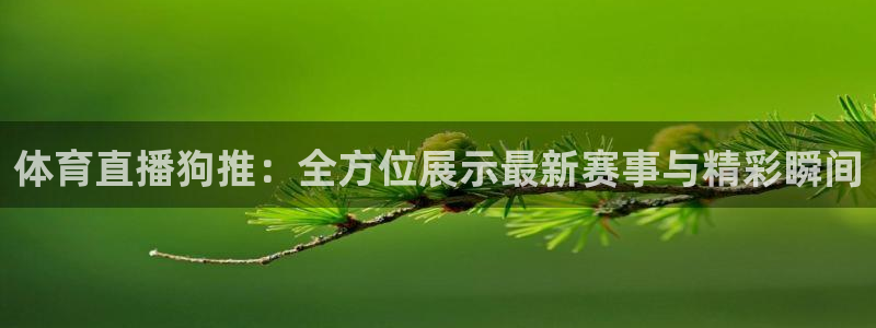 体育直播狗推：全方位展示最新赛事与精彩瞬间