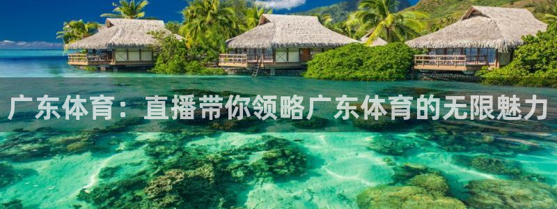 广东体育：直播带你领略广东体育的无限魅力