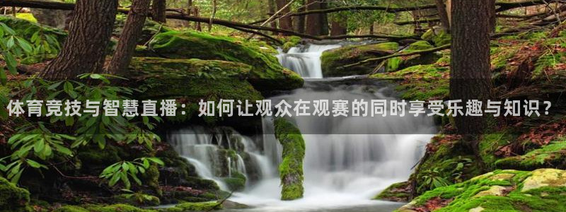 体育竞技与智慧直播：如何让观众在观赛的同时享受乐趣与知识？