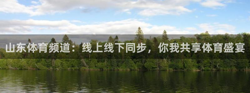 山东体育频道：线上线下同步，你我共享体育盛宴