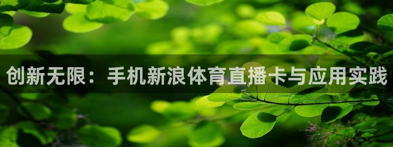 创新无限：手机新浪体育直播卡与应用实践