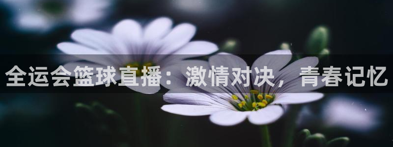 全运会篮球直播：激情对决，青春记忆