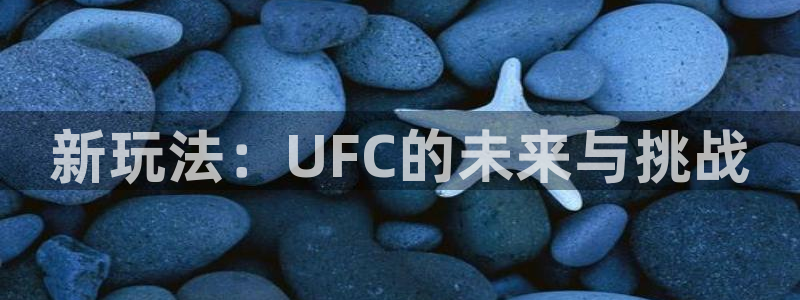 新玩法：UFC的未来与挑战
