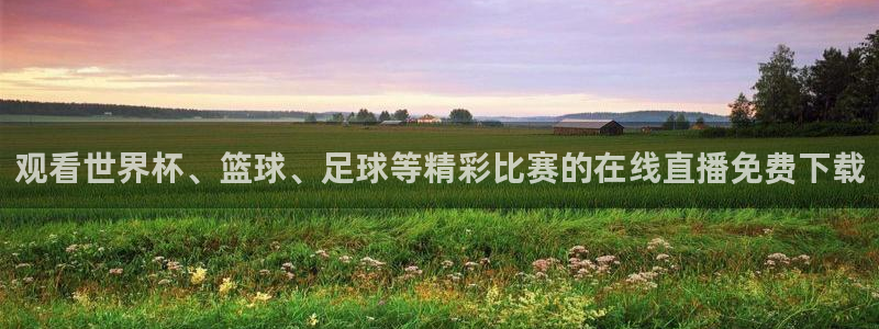 观看世界杯、篮球、足球等精彩比赛的在线直播免费下载