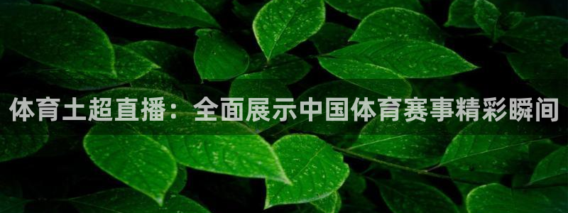 体育土超直播：全面展示中国体育赛事精彩瞬间