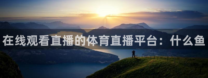 在线观看直播的体育直播平台：什么鱼
