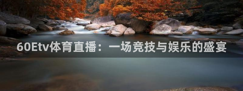 60Etv体育直播：一场竞技与娱乐的盛宴