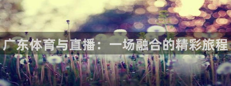 广东体育与直播：一场融合的精彩旅程