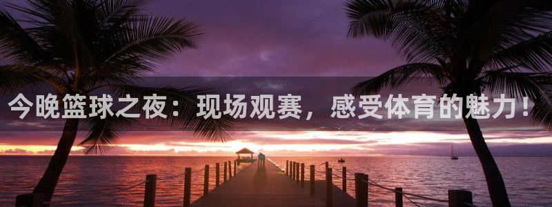 今晚篮球之夜：现场观赛，感受体育的魅力！