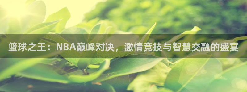 篮球之王：NBA巅峰对决，激情竞技与智慧交融的盛宴