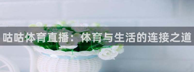 咕咕体育直播：体育与生活的连接之道